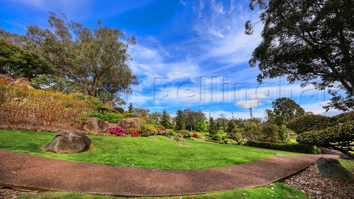 Peter Bellingham Photography Japanese Garden - Cowra